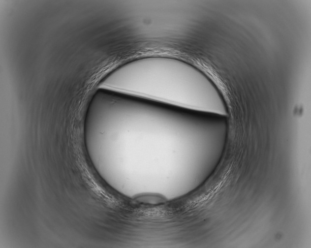 X0000101110433200806261112