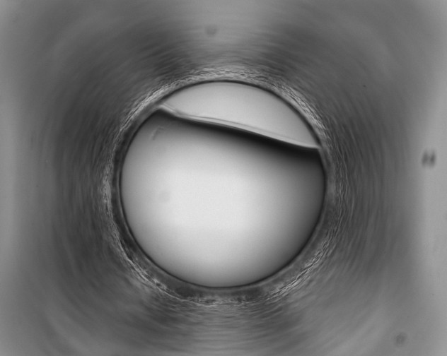 X0000101110434200806261112
