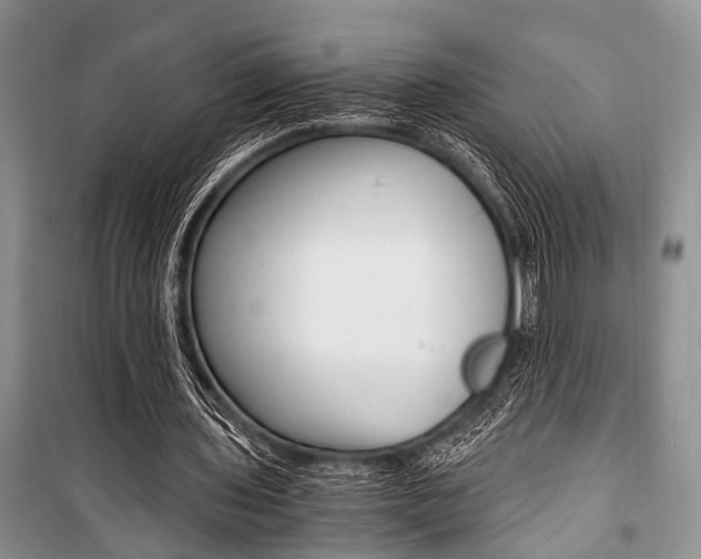 X0000101110435200806261112
