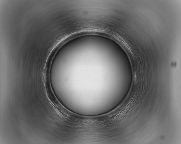 X0000101110436200806261112
