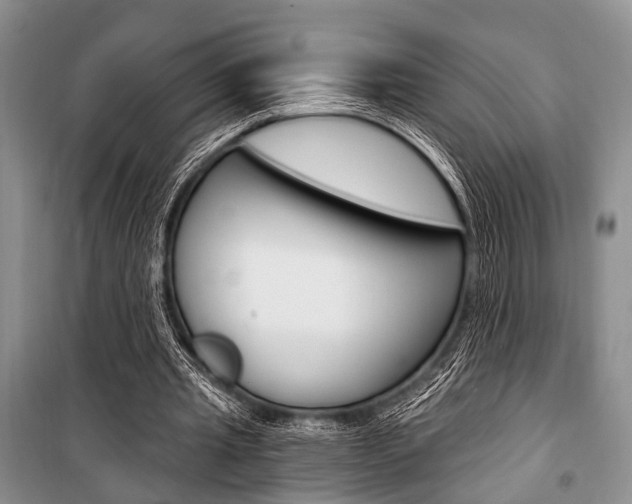 X0000101110437200806261112