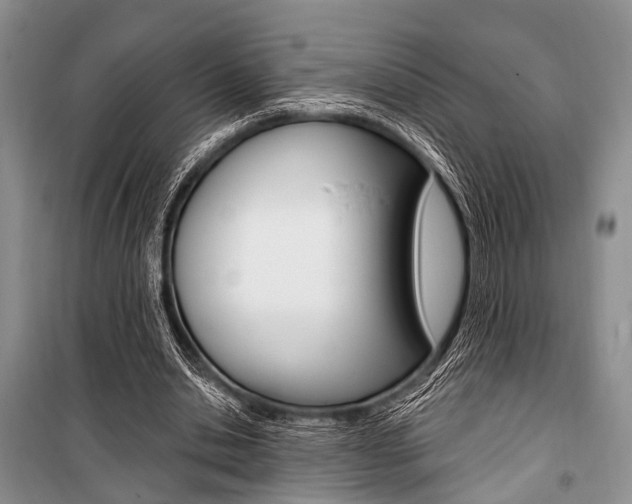 X0000101110438200806261112