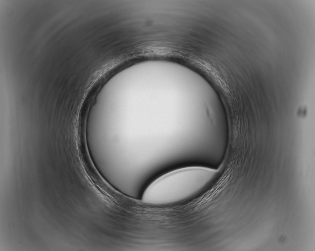 X0000101110439200806261112