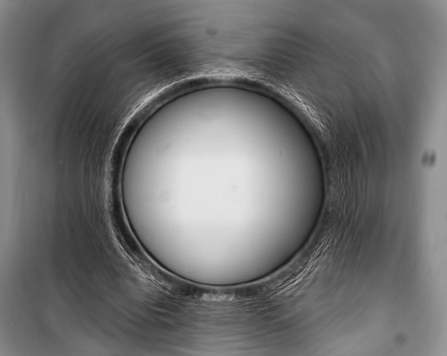 X0000101110440200806261112