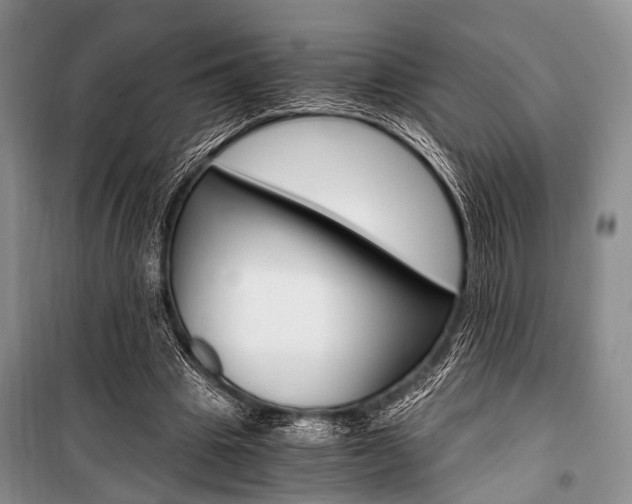 X0000101110441200806261112
