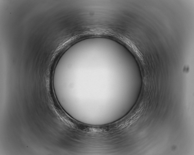 X0000101110442200806261112