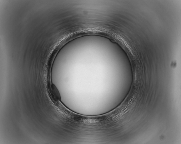 X0000101110444200806261113