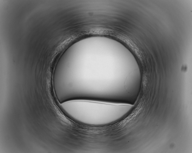 X0000101110445200806261113
