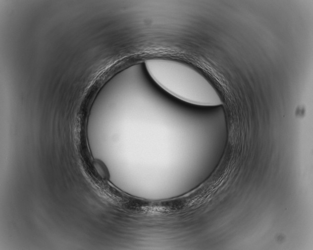 X0000101110448200806261113