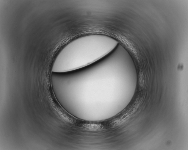 X0000101110449200806261113