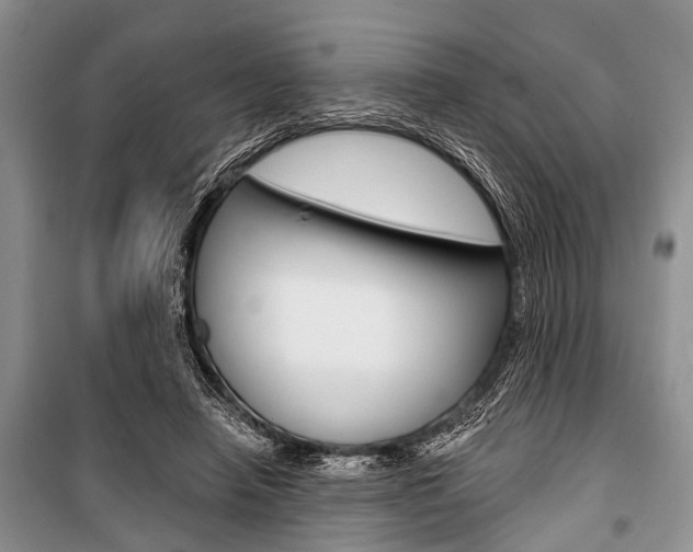 X0000101110450200806261113