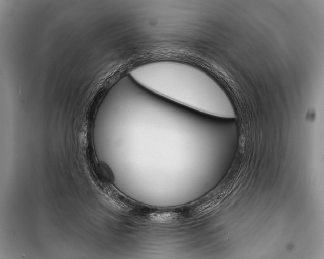 X0000101110452200806261113