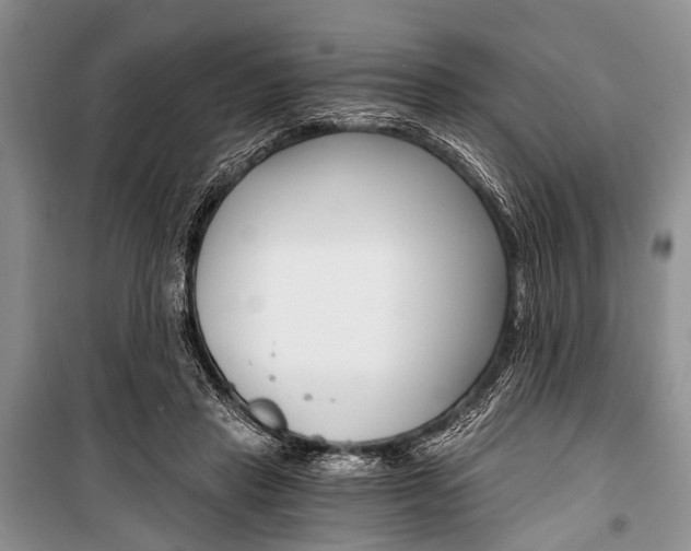 X0000101110453200806261113