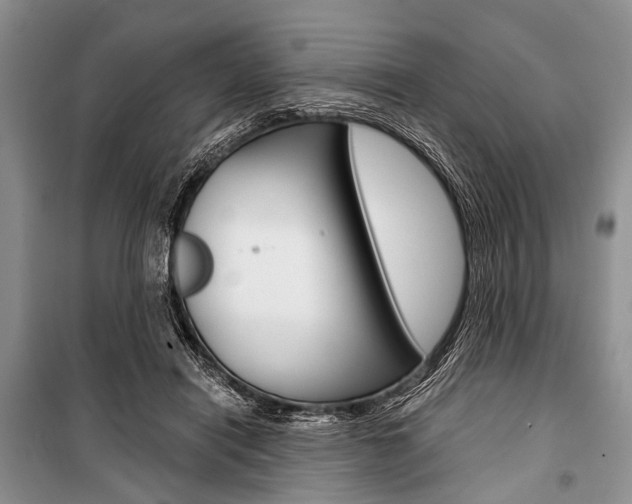 X0000101110454200806261113