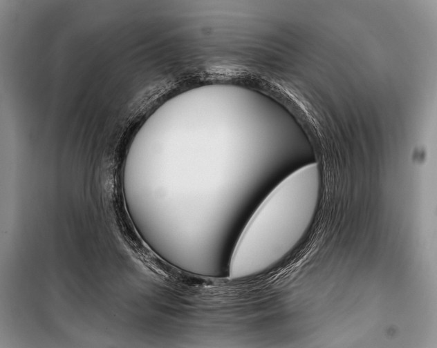 X0000101110455200806261113