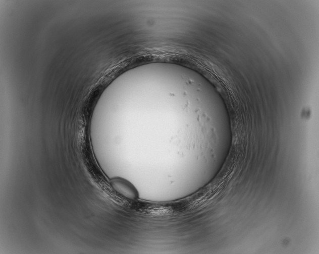 X0000101110456200806261113