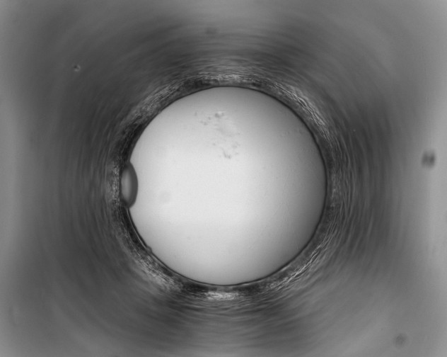 X0000101110457200806261113