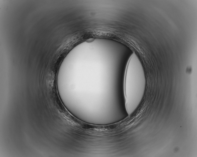 X0000101110458200806261113