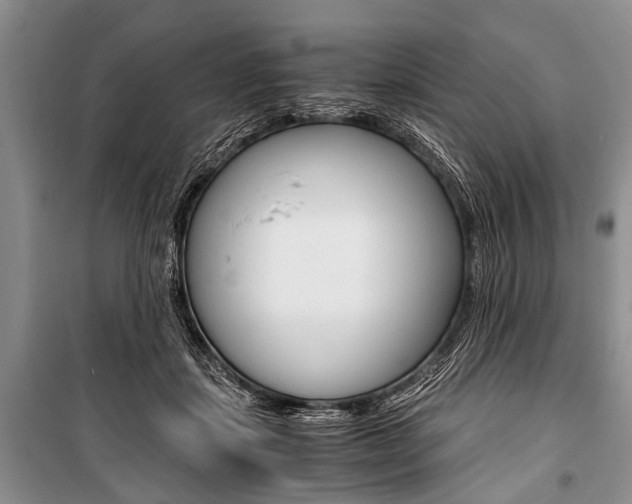 X0000101110459200806261113