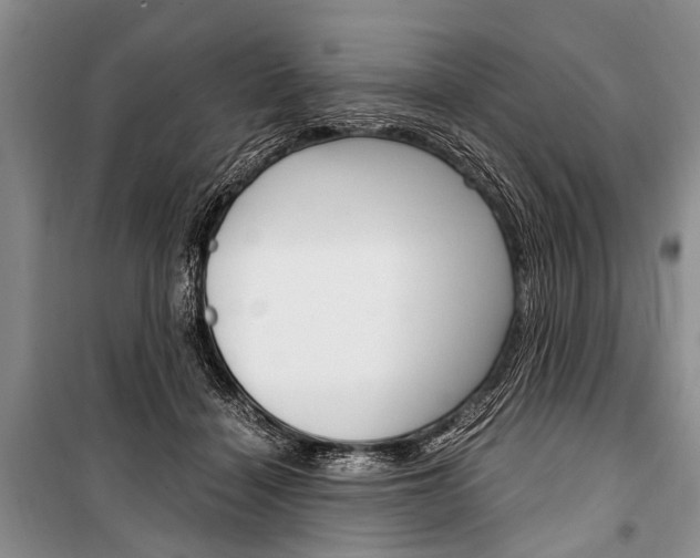 X0000101110460200806261113