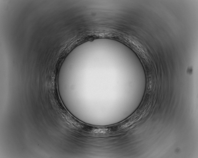 X0000101110461200806261113