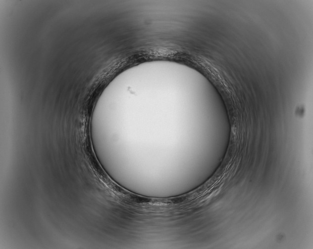 X0000101110462200806261113