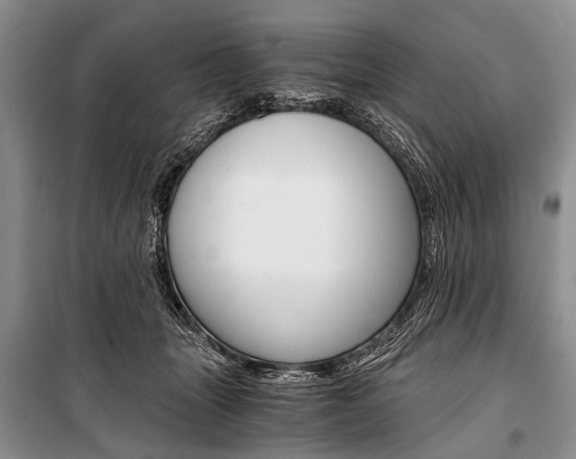 X0000101110463200806261113