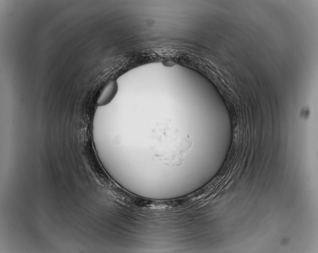 X0000101110464200806261113