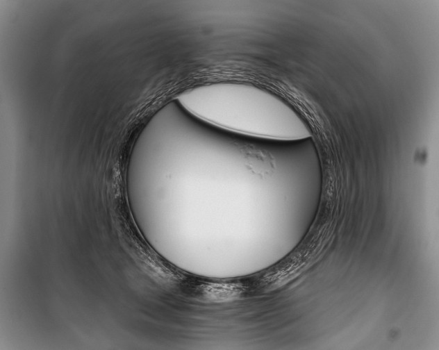 X0000101110465200806261113