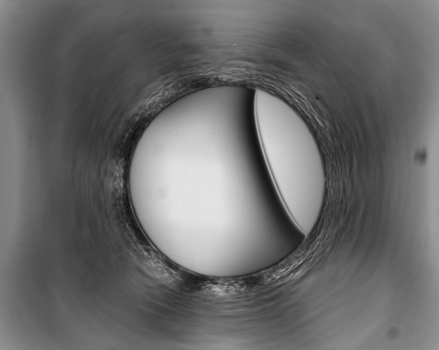 X0000101110466200806261113