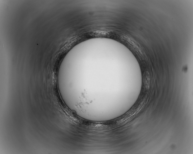 X0000101110467200806261113