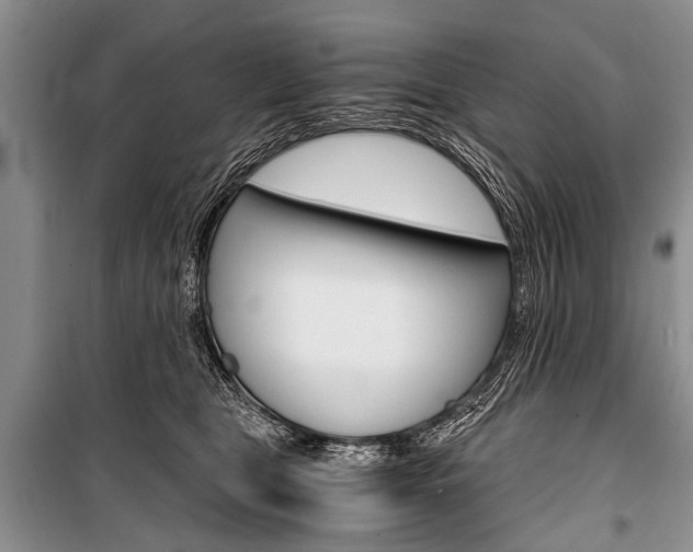 X0000101110469200806261113