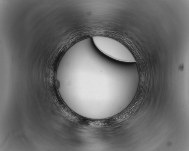 X0000101110470200806261113