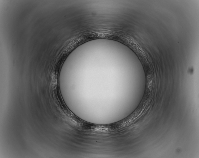 X0000101110471200806261113