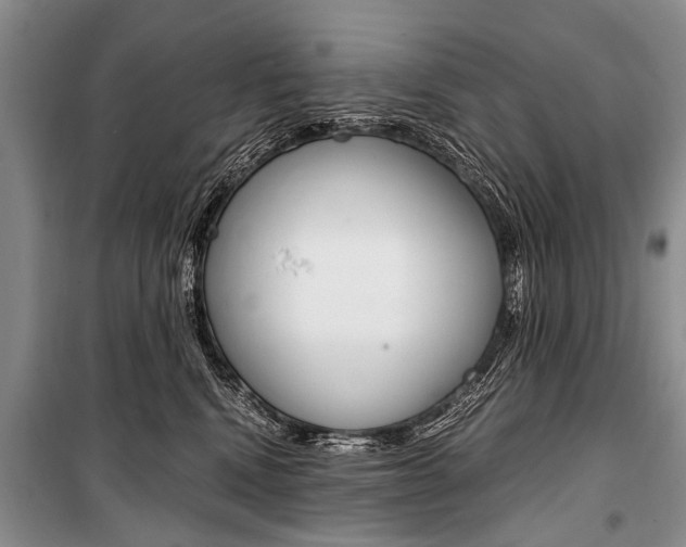 X0000101110472200806261113
