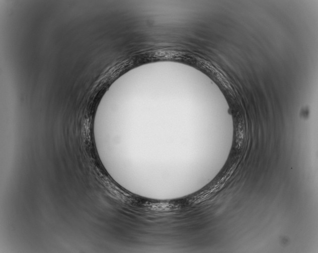 X0000101110473200806261113