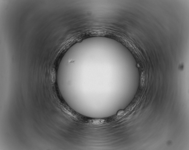 X0000101110474200806261113