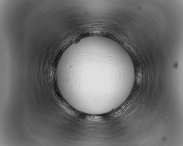 X0000101110476200806261113