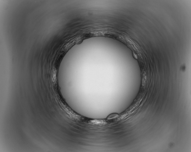 X0000101110477200806261113