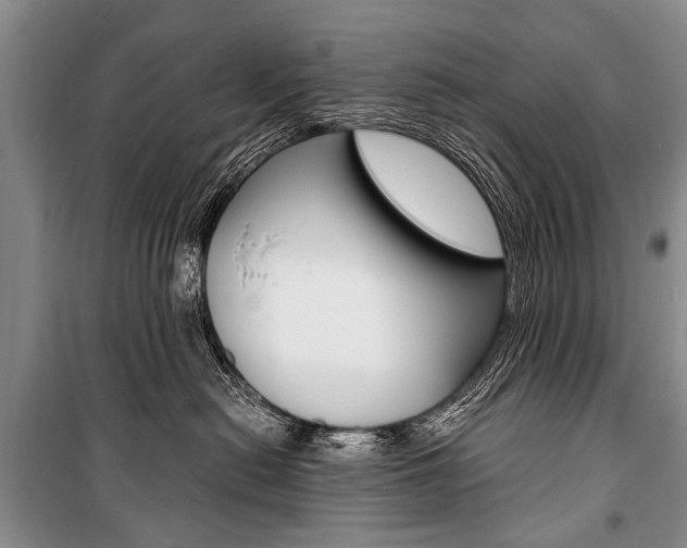 X0000101110478200806261113