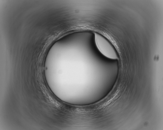 X0000101110481200806261112