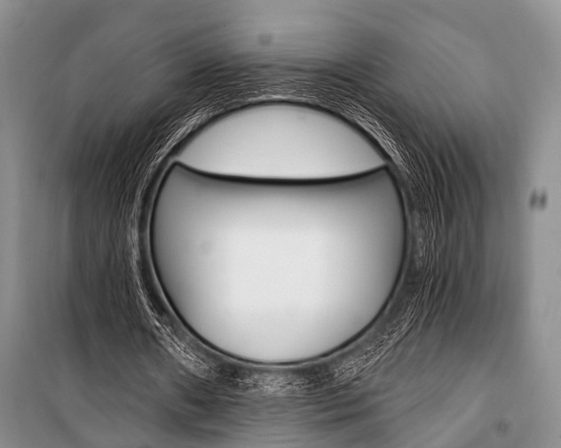X0000101110482200806261112