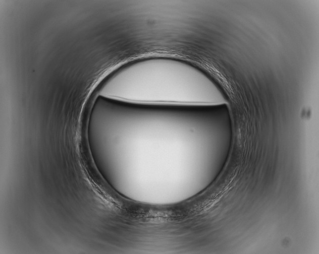 X0000101110484200806261112