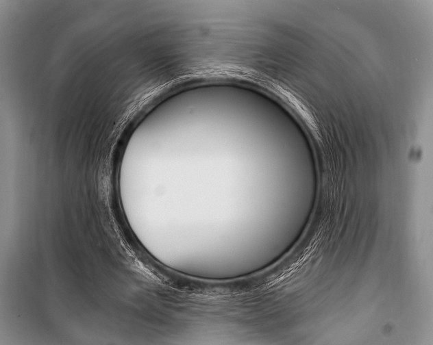 X0000101110485200806261112