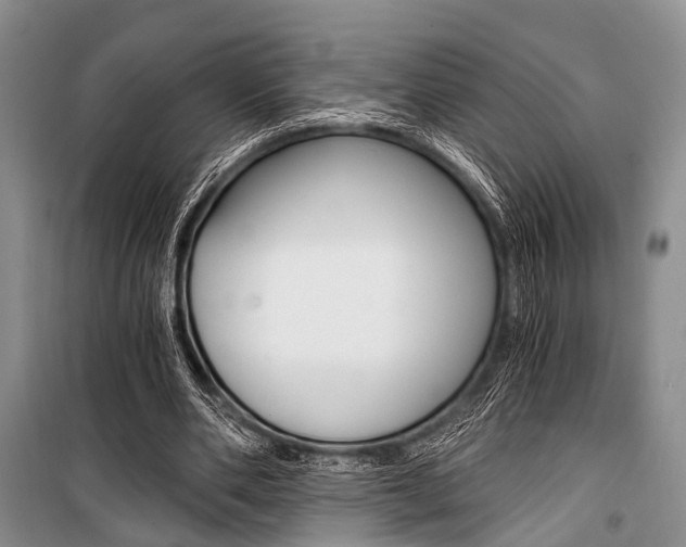 X0000101110486200806261112