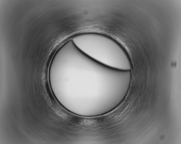 X0000101110487200806261112