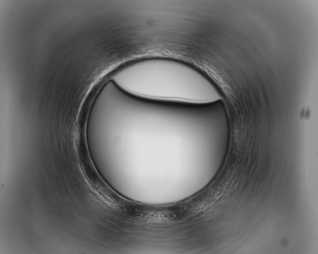 X0000101110488200806261112
