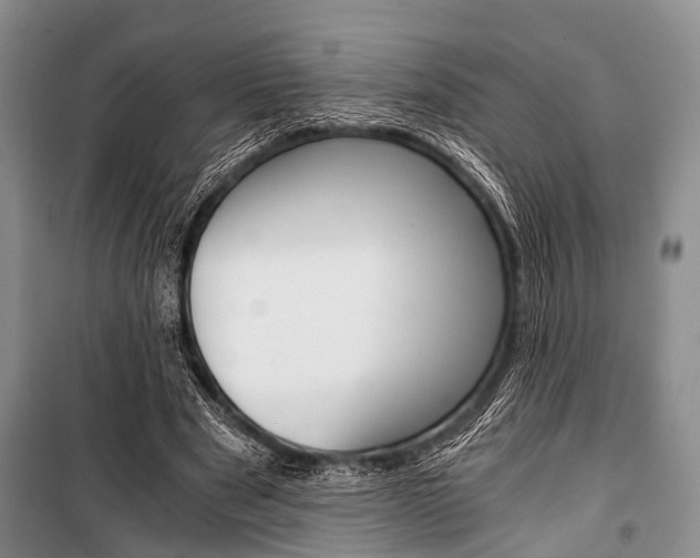 X0000101110489200806261112