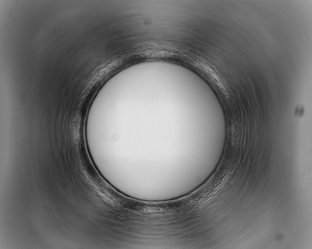 X0000101110490200806261112