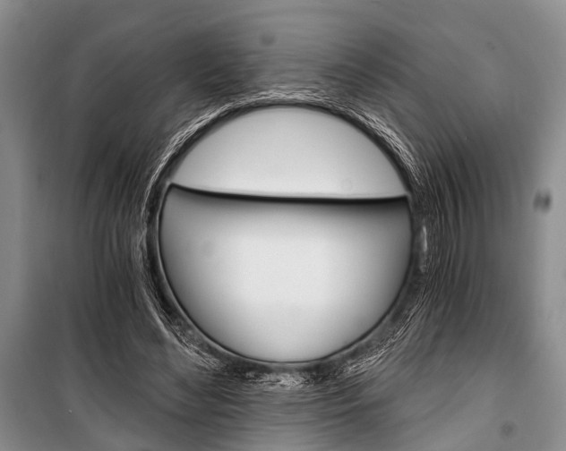 X0000101110492200806261112